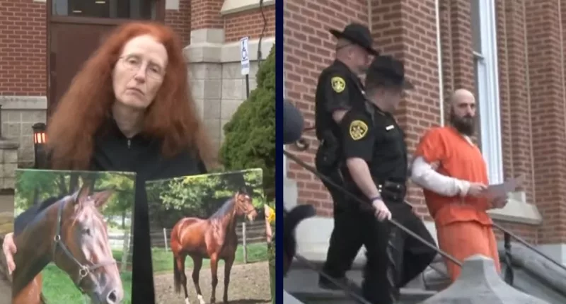 Arsonist sentenced for setting fire that killed 30 horses