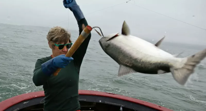 California salmon fishing canceled for second year in row as population wanes