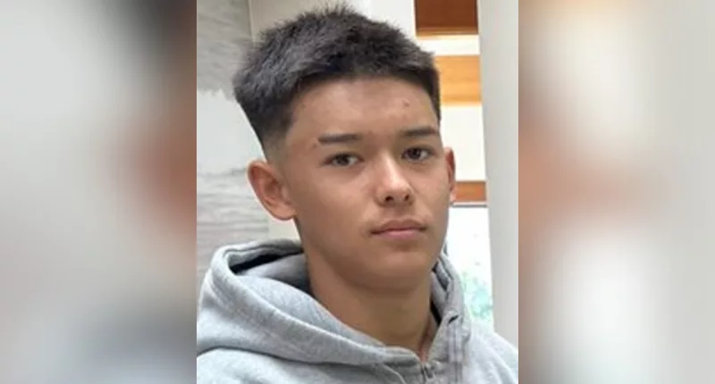 Family searching for teen boy who disappeared in California