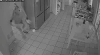 Home invasion Stretton Brisbane