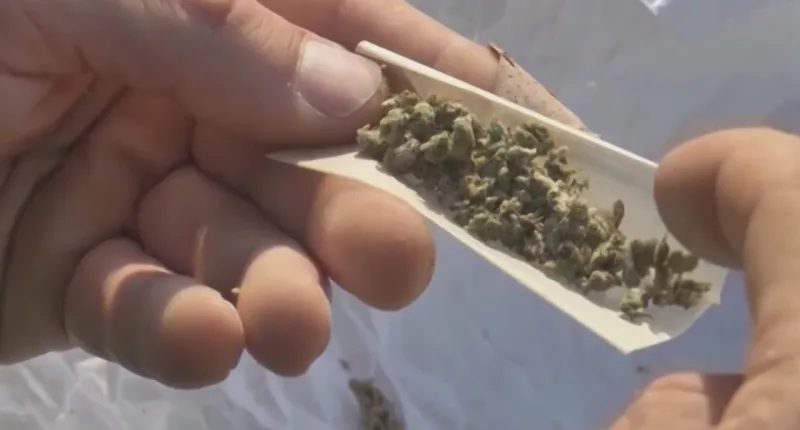 Proposed ordinance could decriminalize marijuana in Guyton