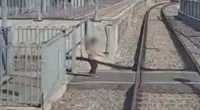 Toddler's near-miss at train station caught on camera