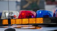 Developing: Woman Found Dead Inside Alligator’s Mouth, Homicide Investigation Underway