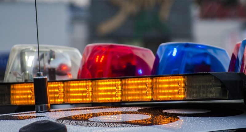 Developing: Woman Found Dead Inside Alligator’s Mouth, Homicide Investigation Underway