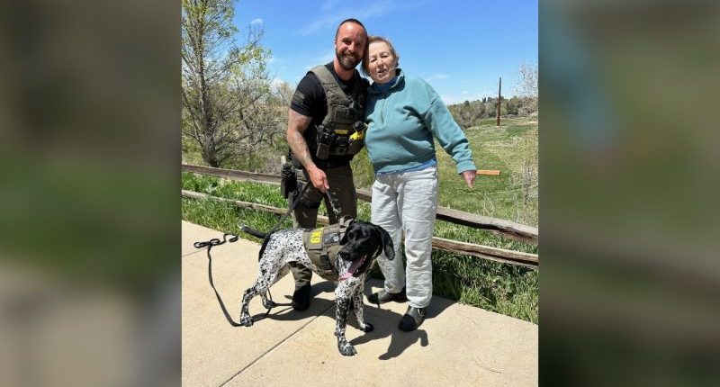 K-9 finds missing 85-year-old ‘clinging to a tree’ in Colorado