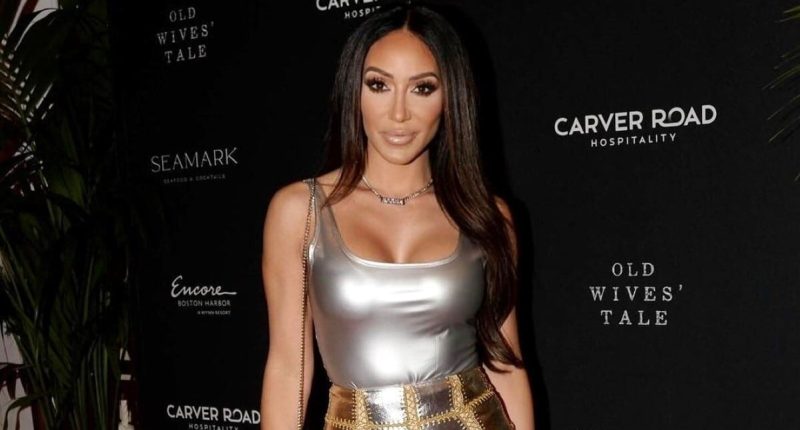 Melissa Gorga Shares "Biggest Pushback" With RHONJ Producers