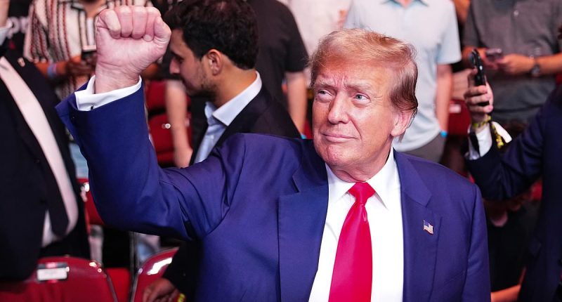 Trump gets standing ovation at UFC fight