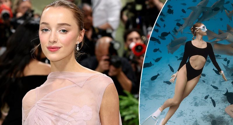 Bridgerton's Phoebe Dynevor tipped to star in Aussie shark thriller
