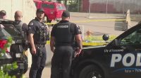Man with 'aggressive' German shepherd fatally shot by police in Washington