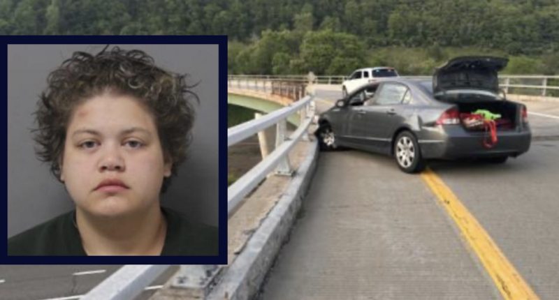Woman accused of murdering 3 roommates caught after chase