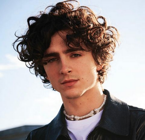 Who Is Timothée Chalamet? Parents, Siblings, Girlfriend And Net Worth