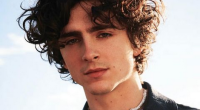 Who Is Timothée Chalamet? Parents, Siblings, Girlfriend And Net Worth