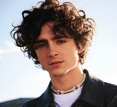 Who Is Timothée Chalamet? Parents, Siblings, Girlfriend And Net Worth