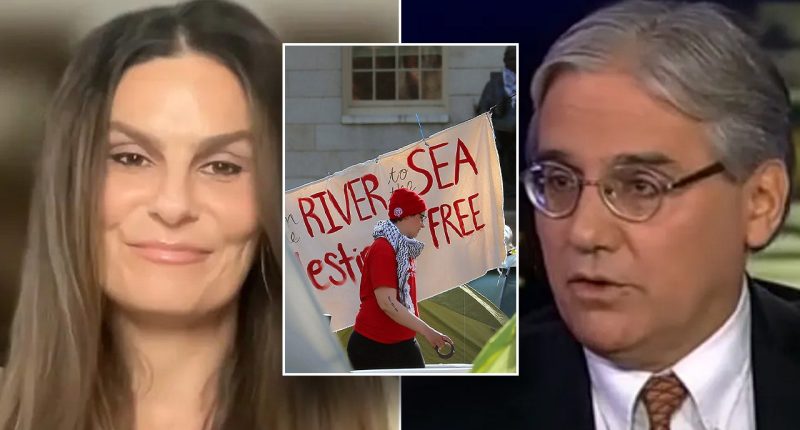 Harvard slammed for 'smoke and mirrors' antisemitism response: 'They actually make things worse'