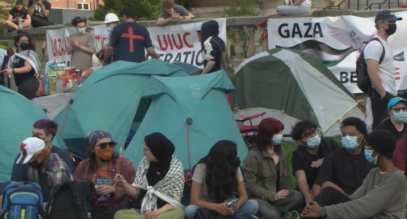 Two more pro-Palestine activists charged with Mob Action from U of I protest