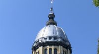 Digital licenses, pesticide notices and more: These new Illinois laws were signed Friday