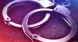 Effingham man charged on gun, drug offenses during restraining order violation