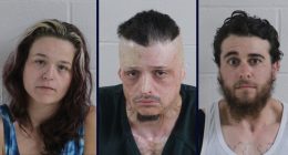 Mom, 2 others punished boy by siccing dog on him: Cops