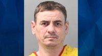 Long Island Man Pleads Guilty to Stabbing Wife to Death in Backyard