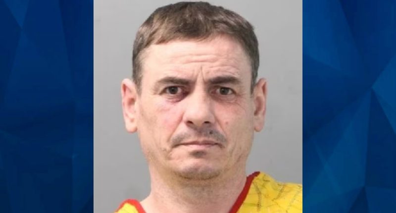 Long Island Man Pleads Guilty to Stabbing Wife to Death in Backyard
