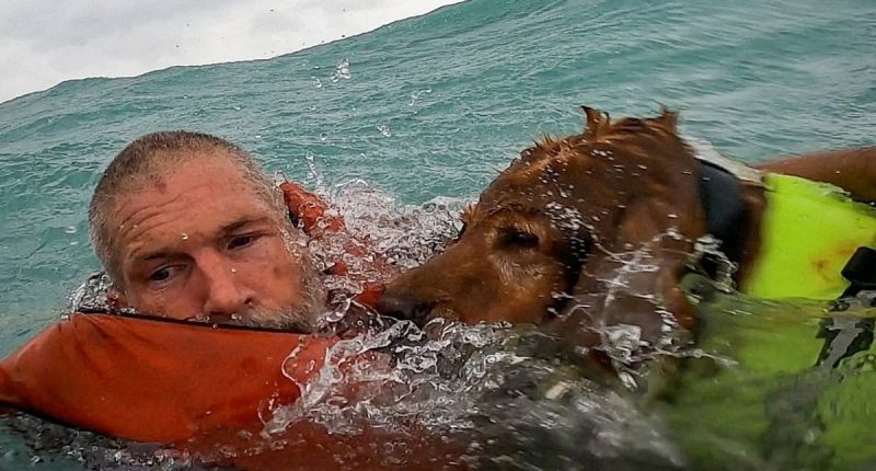 Moment sailor and his dog are rescued from sea amid Hurricane Helene