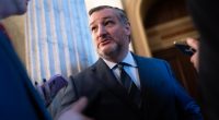 Cruz asks feds to appeal ruling against LNG project