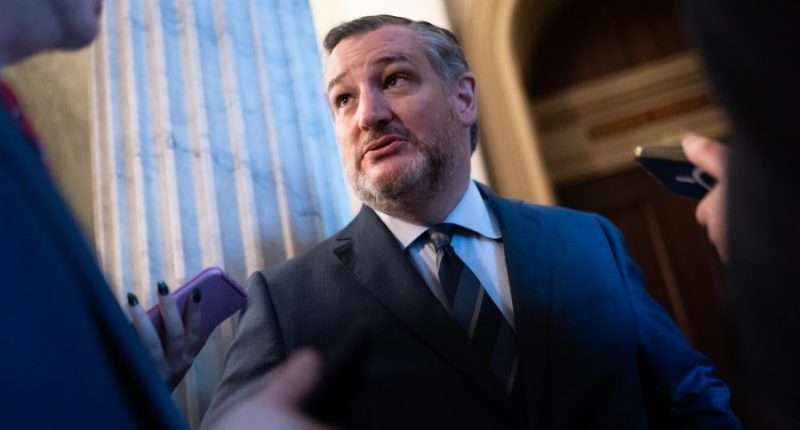 Cruz asks feds to appeal ruling against LNG project