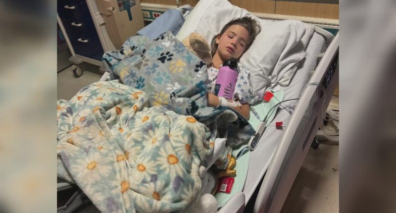 Gilbert child bitten by rattlesnake goes 30 hours without care