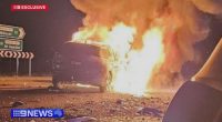 Michael Sleep had been in his truck when he saw Cleone Bryant trapped inside her car as flames engulfed the vehicle on the Princes Highway between Tantanoola and Millicent in the state's south-east on Wednesday night.