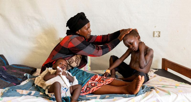 Hundreds of thousands of mpox vaccines donated to fight outbreak in Africa