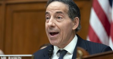 Jamie Raskin Latest Democrat to Assault the Constitution, Says Electoral College 'Can Get You Killed'