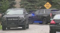 Michigan girl, 7, stabbed to death; 13-year-old sister in custody: police
