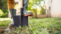Mom, son dig up ancient object often found near burial grounds while gardening