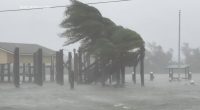 Tropical Storm Francine live: Francine weakens moving inland from Gulf Coast after hurricane winds cause blackouts