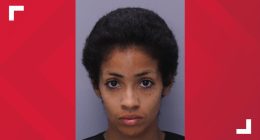 St. Augustine stabbing suspect pulled knife on McDonalds employee
