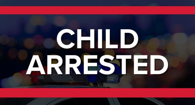 Swimming Pen Elementary student arrested