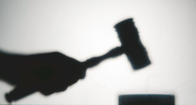 Decatur man gets 18 months in 2022 animal cruelty case