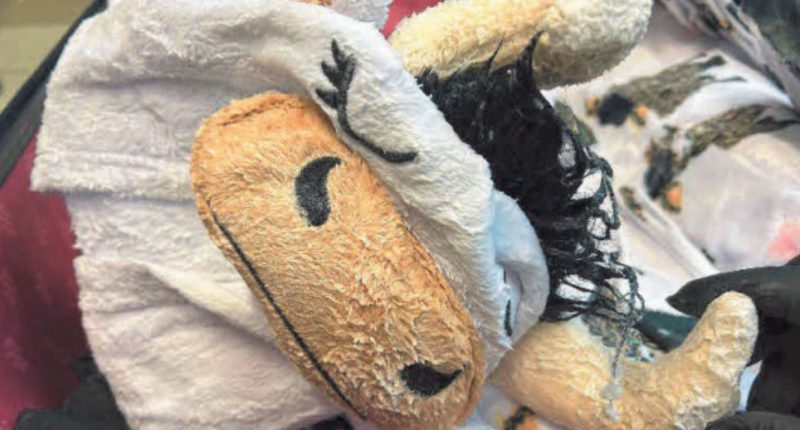 Man tries to smuggle meth-baked cow onesie on flight: Cops