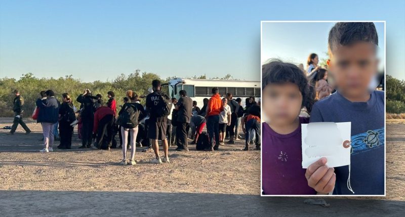 Young siblings discovered with address on piece of paper among massive group of illegals at border