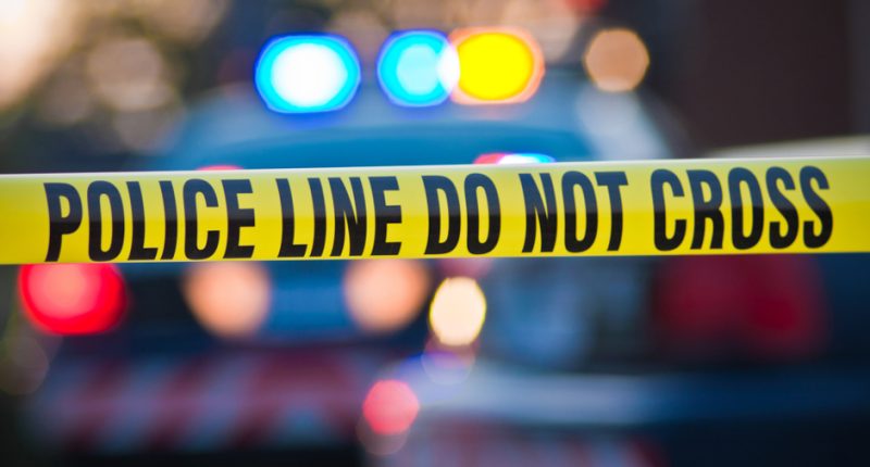 12-Year-Old Girl Arrested for Stabbing Murder of Her Father