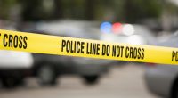 Developing: Human Jaw Bone Found on Long Island Beach