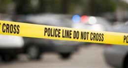 Developing: Human Jaw Bone Found on Long Island Beach