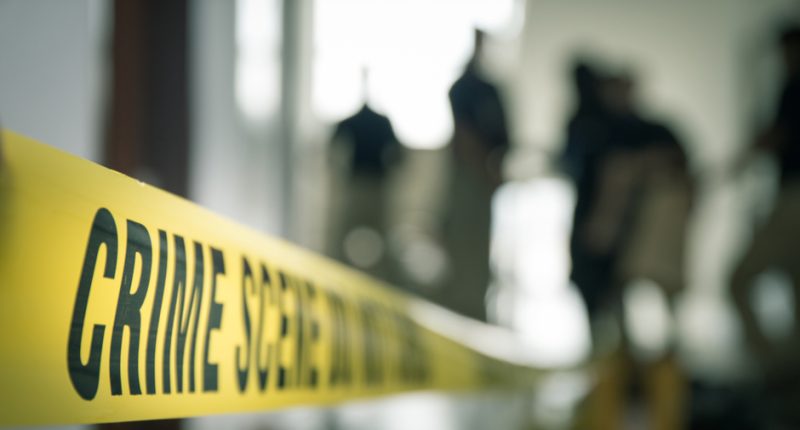 Mother’s Extensive Criminal History Revealed After Trying to Murder Child
