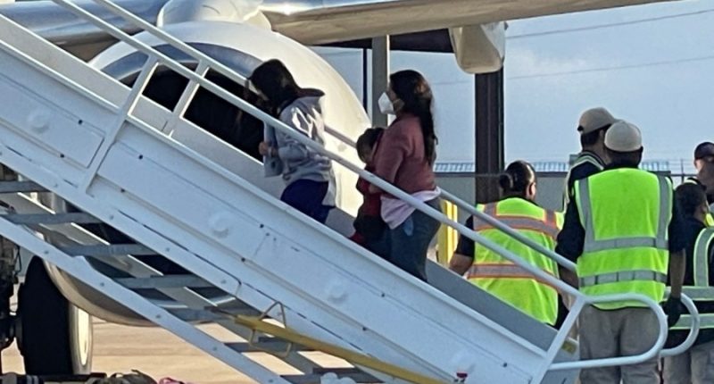 Economist says mass deportations will cost Mexico tens of billions of dollars, a blow to its economy