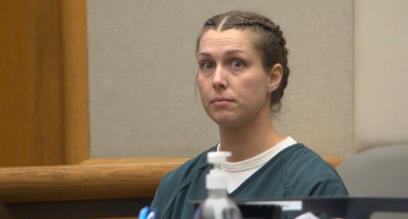 Parents of jailed Shanna Gardner get guardianship of Jared Bridegan's twins
