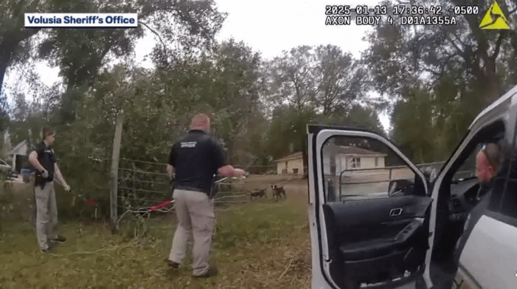 ‘It goes back to the owner’: Tampa Humane Society speaks on 8-year-old killed in dog attack