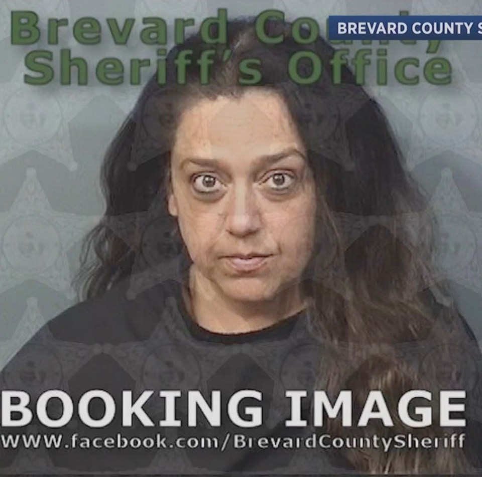 Mugshot of Elizabeth Hill-Brodigan.