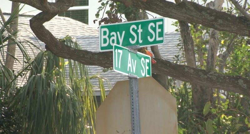 'I saw the guy': Search for suspect who violently robbed St. Pete woman continues