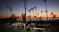 'Particularly Dangerous Situation' forecast for fire-scarred Los Angeles area