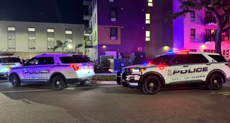 'Something ain't right': Woman, child injured in domestic incident, police say